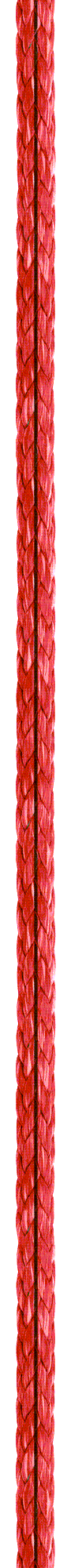 815_SL