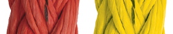 color-options