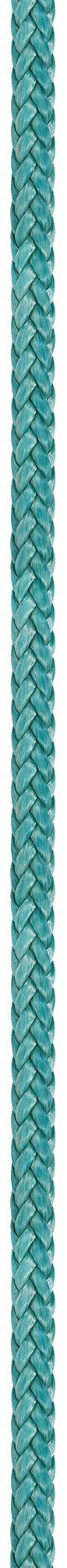 Green Ice Tail 12-Strand Rope